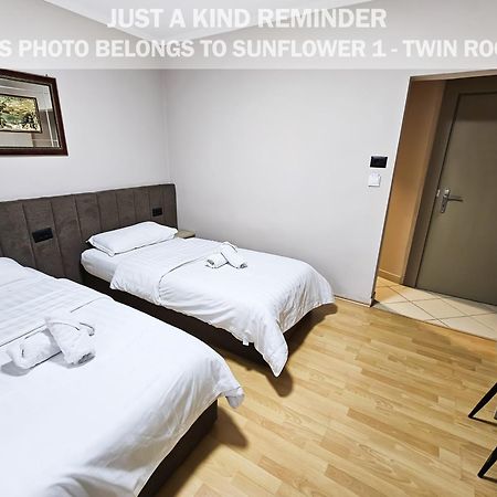 טיראנה Sunflower Rooms מראה חיצוני תמונה