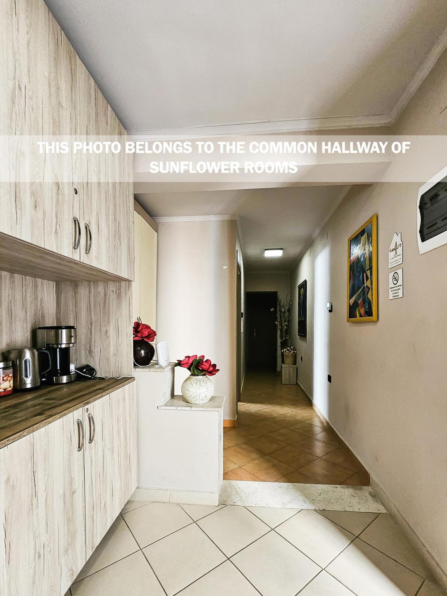 טיראנה Sunflower Rooms מראה חיצוני תמונה